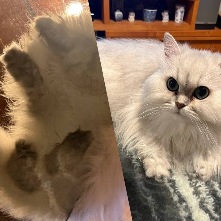 F5c7b119 ec2d 4a07 be60 f3e71aab82a4 1686574216836