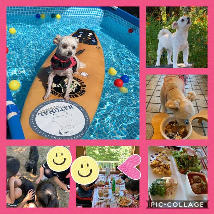 F5c819a4 b69f 43eb 92ee dbfa9199df9e 1599289607047