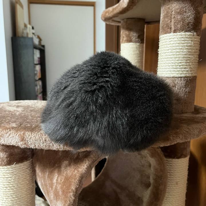 F5c84dd0 d9a7 4a10 8b22 63eaca2473e4 1696329962236