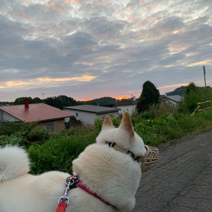 F5c84f87 64a8 435e a20e 2388d26abfd7 1567719894624