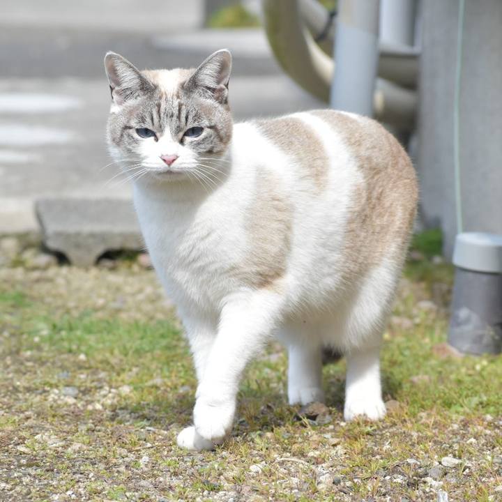 F5c855b9 20e5 427a a1b6 5b5d7c9ae8a2 1550376488172