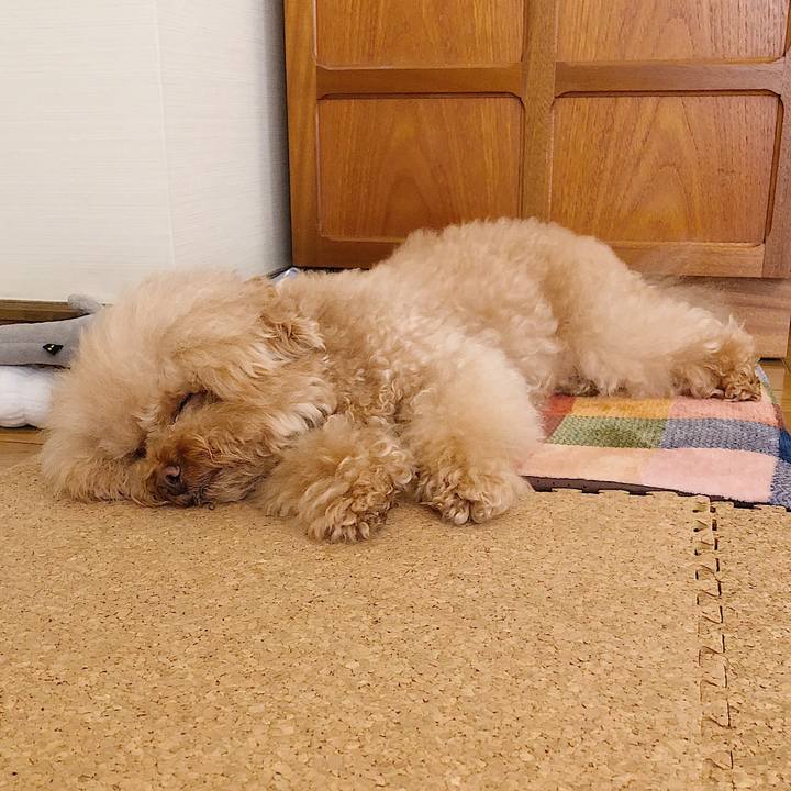 F5c85a1e b3f9 41fe a671 557c7e4fc4cb 1535361693046