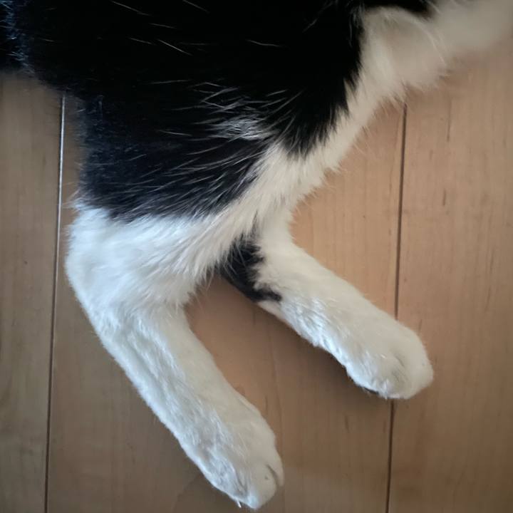 F5c882a8 a576 4175 939d 4b5955e7958e 1719692701940