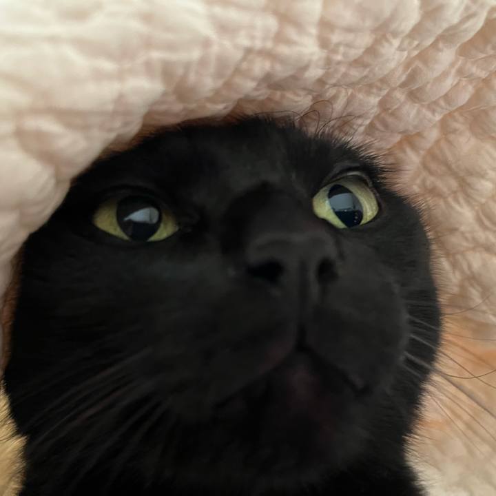 F5c89d82 6e2c 4b83 a6e7 9fe36b3cf679 1723504661009