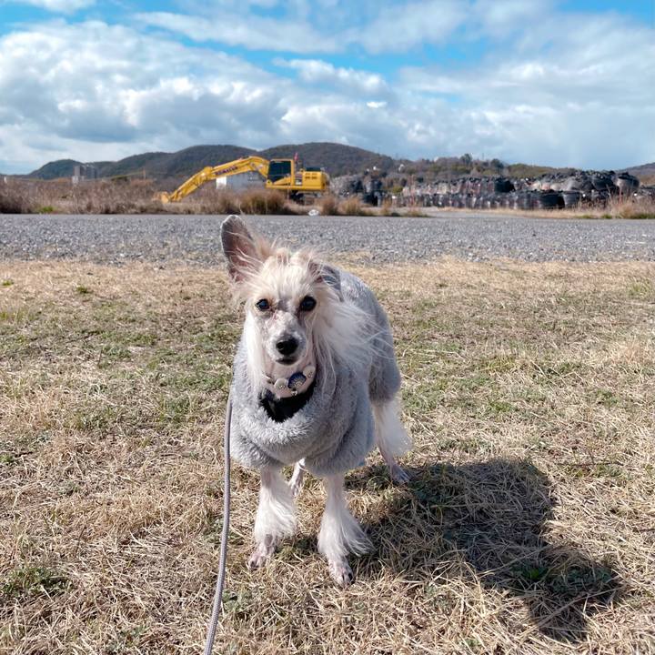 F5c8cc8e d861 4d67 8552 bdecc2a05126 1772603887237