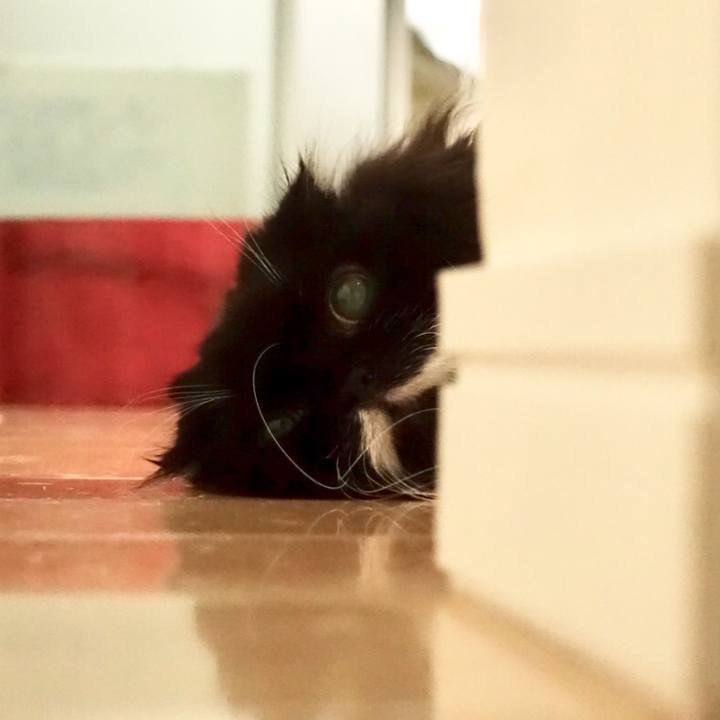 F5c8e387 4871 46ec 9f9f dfffafbe0fed 1560129521980