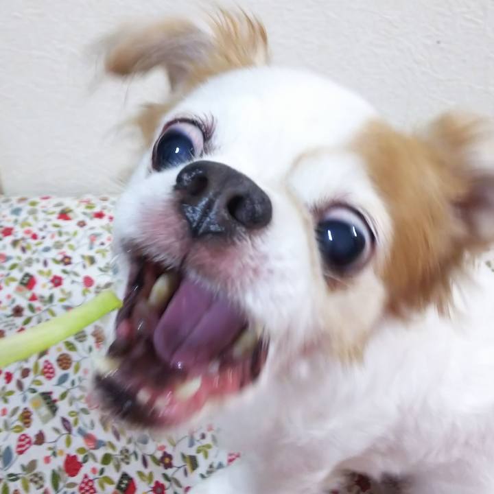 F5c9039e 9b84 44c8 9d85 cbee0a4d1998 1590751247862