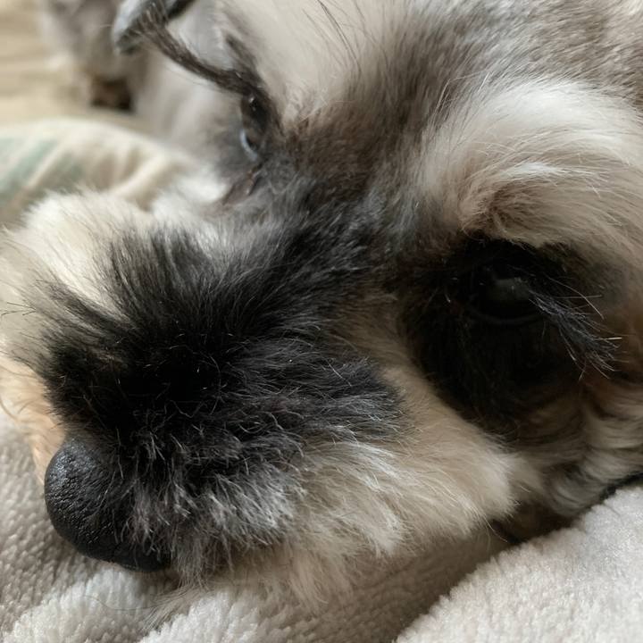 F5c95ada 832e 47e0 8ac2 1958999d1286 1659849662108