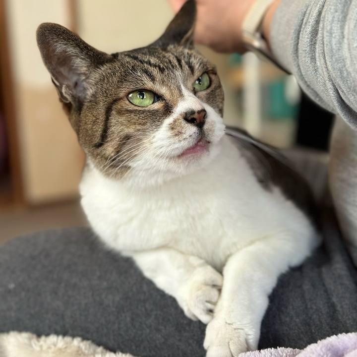 F5c97bae 9b37 4b61 bd9f 3f5ad12b9d6f 1678068903679