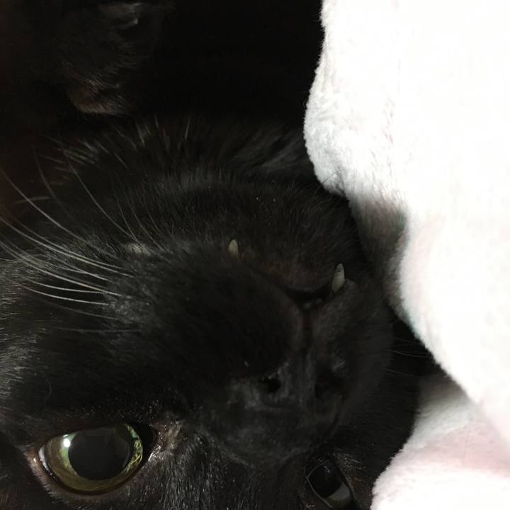 F5c9911d a8da 4406 972d 4c6eb2085e4f 1517524286906