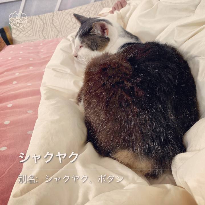 F5c9a04e ff65 4892 a29e 465f5e94913e 1594451261954