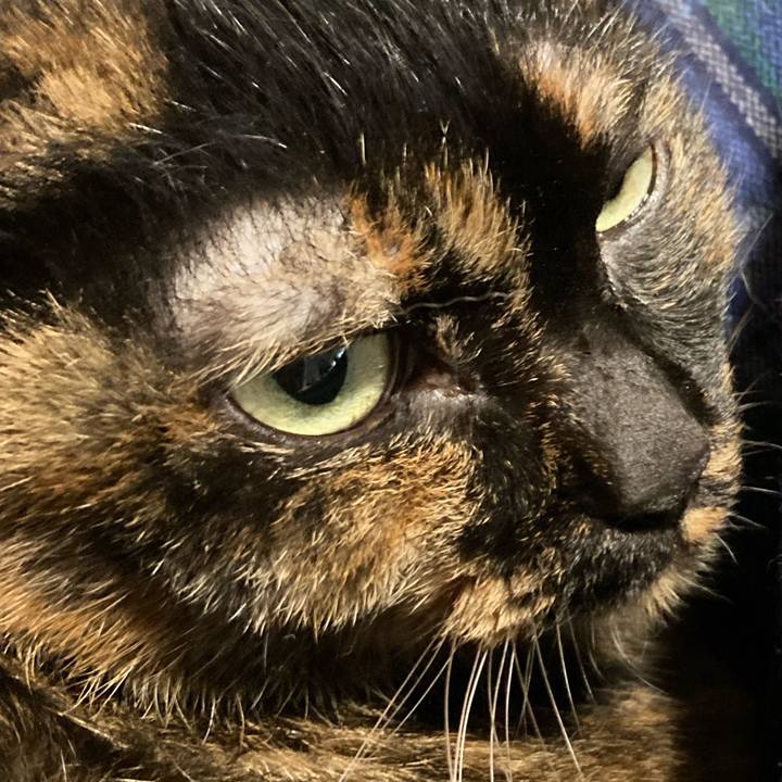 F5c9e1e7 efee 49b9 b4fa b0839cf10bd1 1640328708590