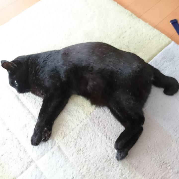 F5ca0504 4d3f 4af5 9def 59bd6b15b73f 1557924958746