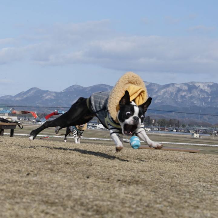 F5ca4ec9 0e66 4bc9 8071 207629c9ce3f 1518954549132