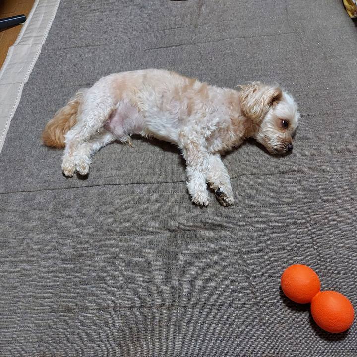 F5ca5c8a 7c68 4a78 9475 5a243bed5279 1632050573075