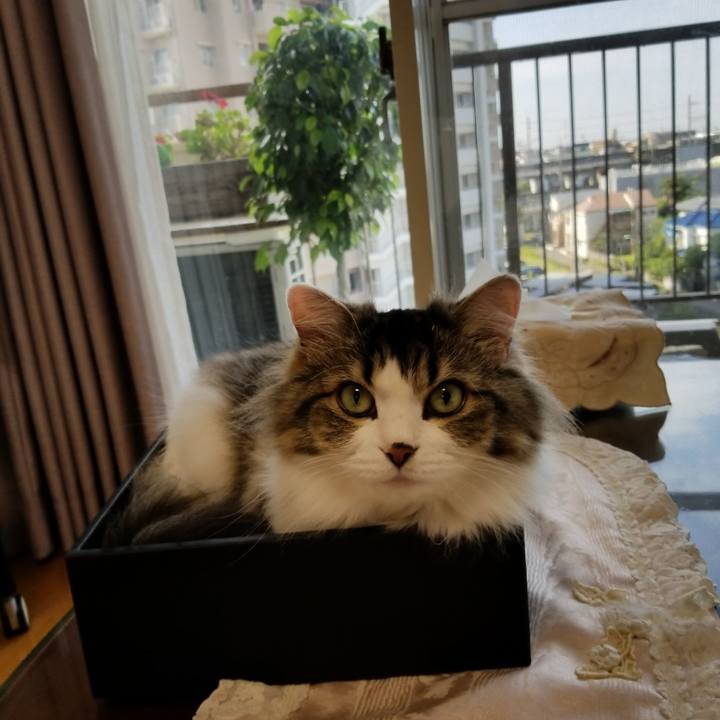 F5ca66b3 290c 4ec5 91b0 fdc6dd8be5e5 1533731780817