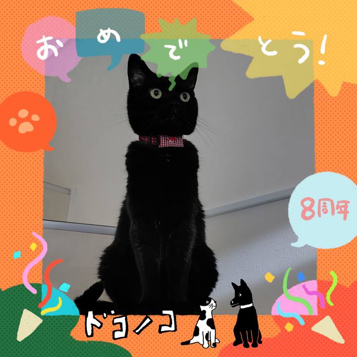 F5ca771c fc46 4b2c 91c2 ed203a9a55e7 1717893920868