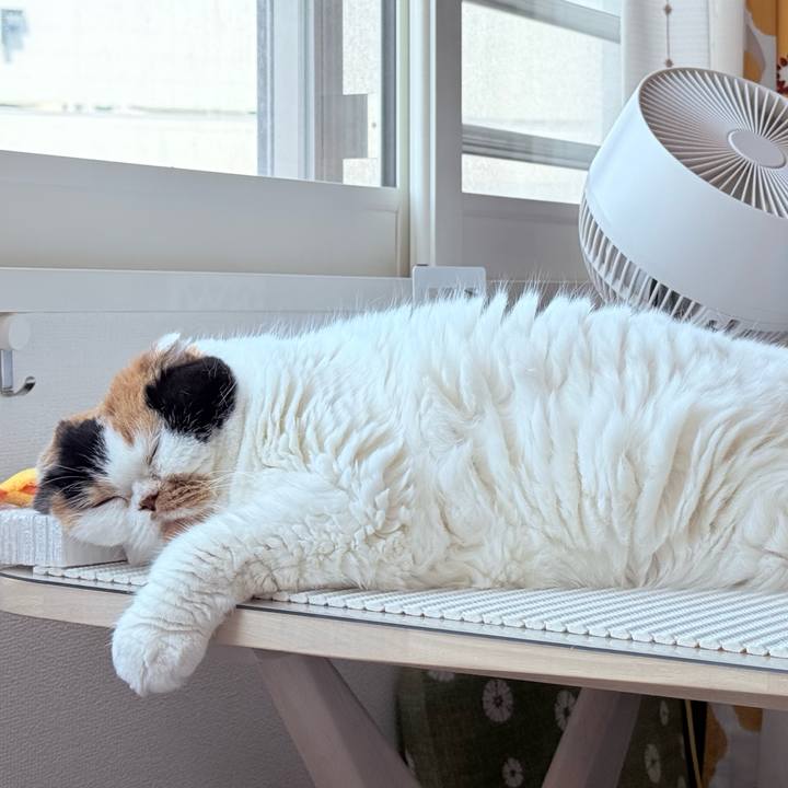 F5cacb14 3f9a 40e8 b04a bcd454436b96 1746073070581