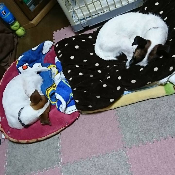 F5cacc2e 37c7 43d7 a76a 71574b0d2667 1538909508715