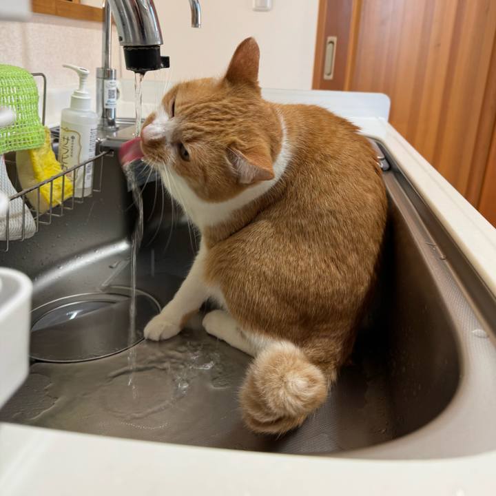 F5cae018 73f6 4809 995f 8c5866eb457b 1765072267581