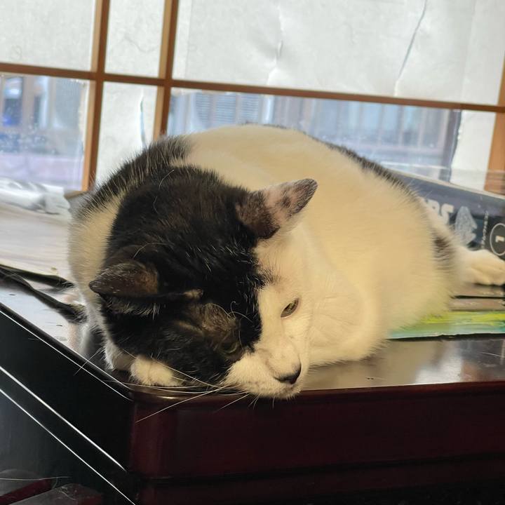 F5cae5e1 fd6b 4f08 95c7 4398ae8c2bc7 1755557586553