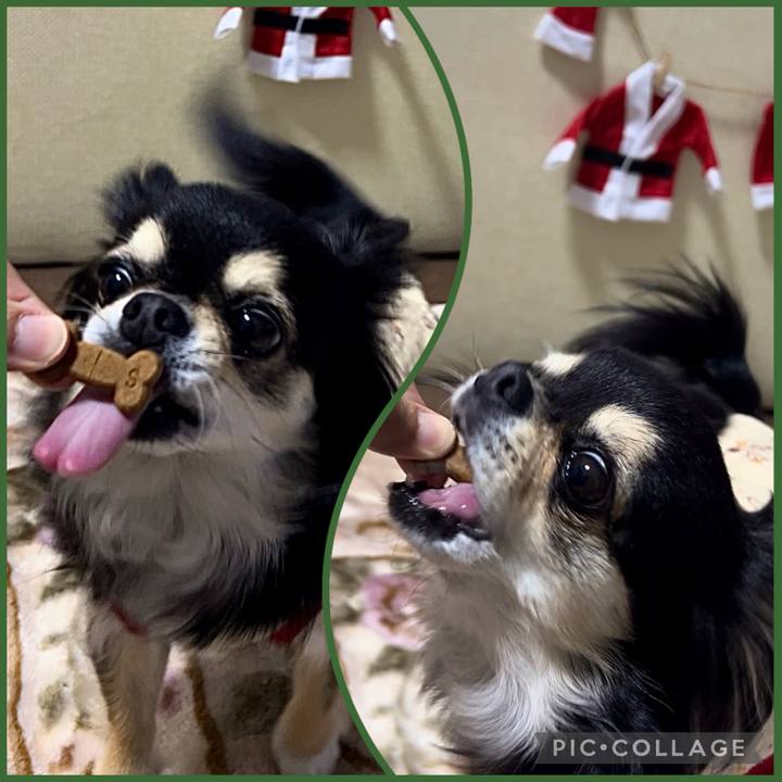 F5cafdf5 720c 40fc a0ec 1abc65242b68 1701297395900