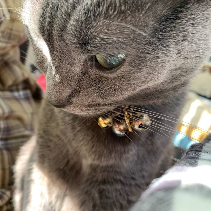 F5cb0886 cdd3 4e93 86c2 8855ea2a5fa6 1667043045848