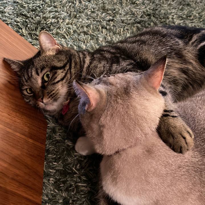 F5cb22eb 1052 4629 9c84 054a8155d91e 1613822613760