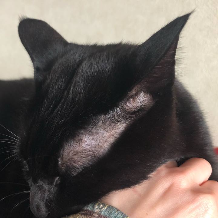 F5cb558b 565a 4a09 94d4 e43ac273e54a 1546606615798