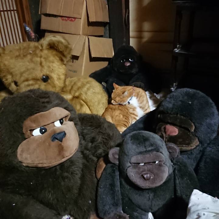 F5cb5724 c536 4484 80f3 34e89d39f90b 1603625408303