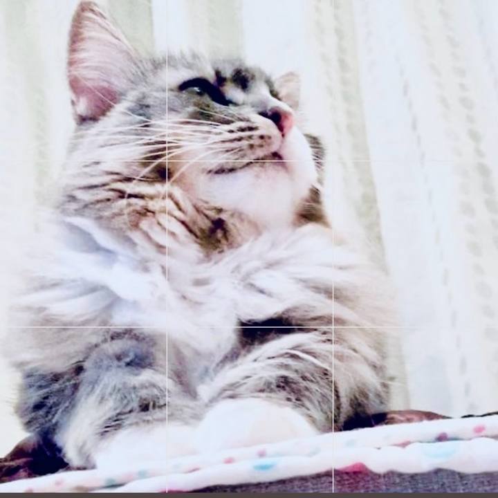 F5cb9728 acd2 4eb1 9955 cd749d97f7cf 1759592729249