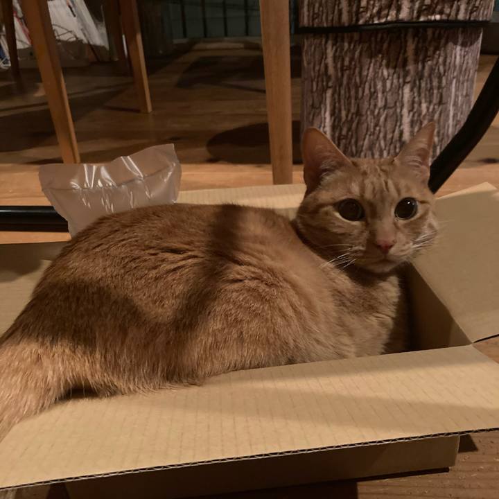 F5cba64d 723e 48a8 b922 22eb67424f90 1615896936844