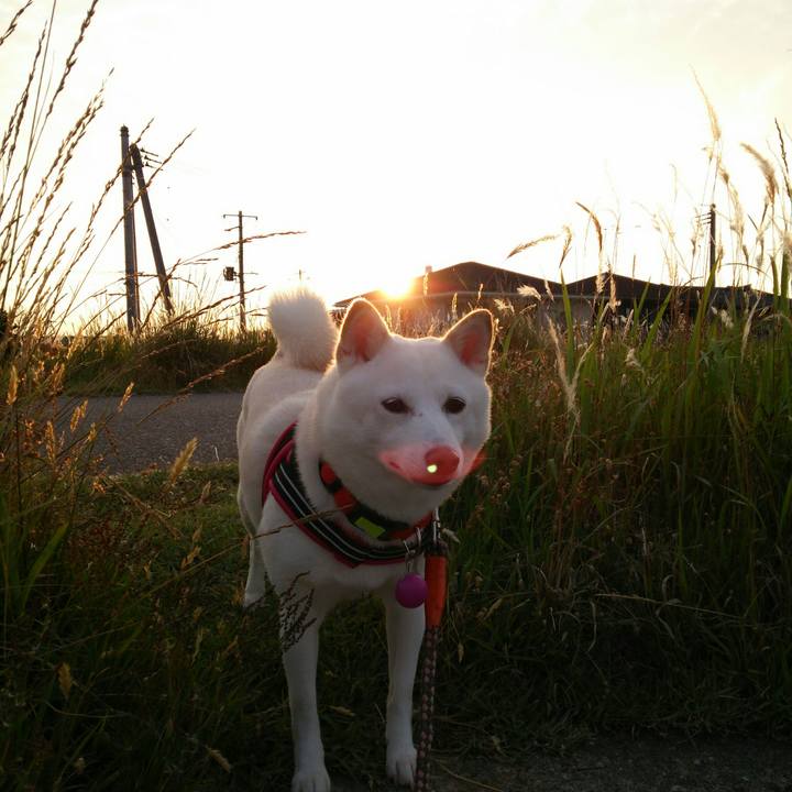 F5cbab25 03f7 499d 975a 48ca280bcfcb 1560853600543