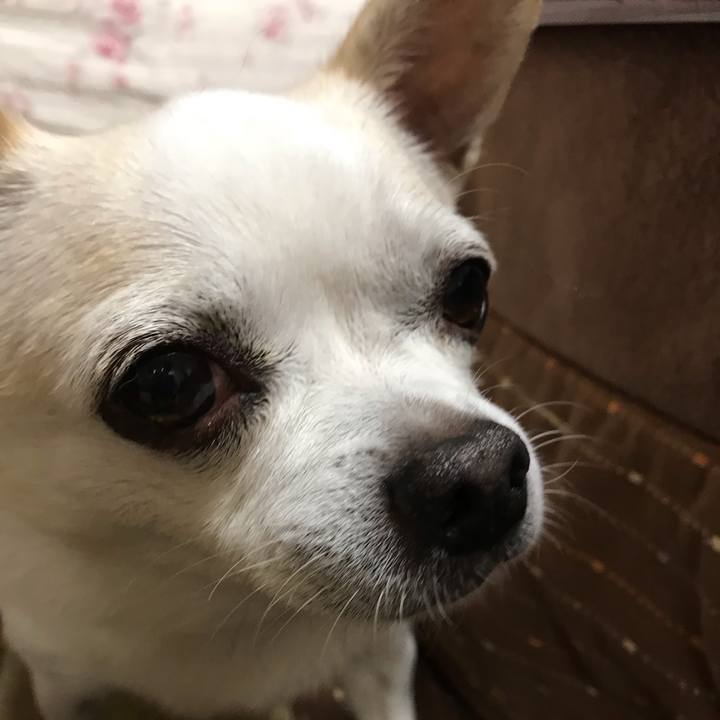 F5cbb762 8e6a 45b2 9910 00ef2862c172 1541326537541