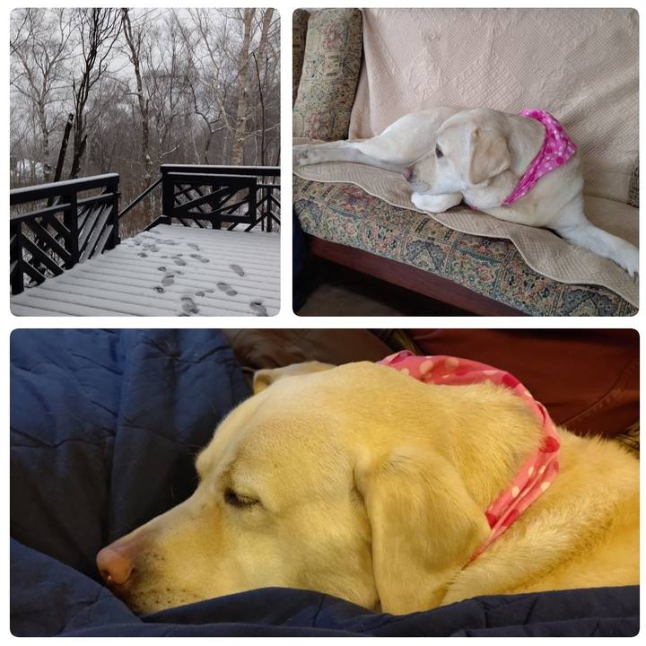 F5cbd133 e2de 4714 ae92 e3afb32c9bd5 1609392583483