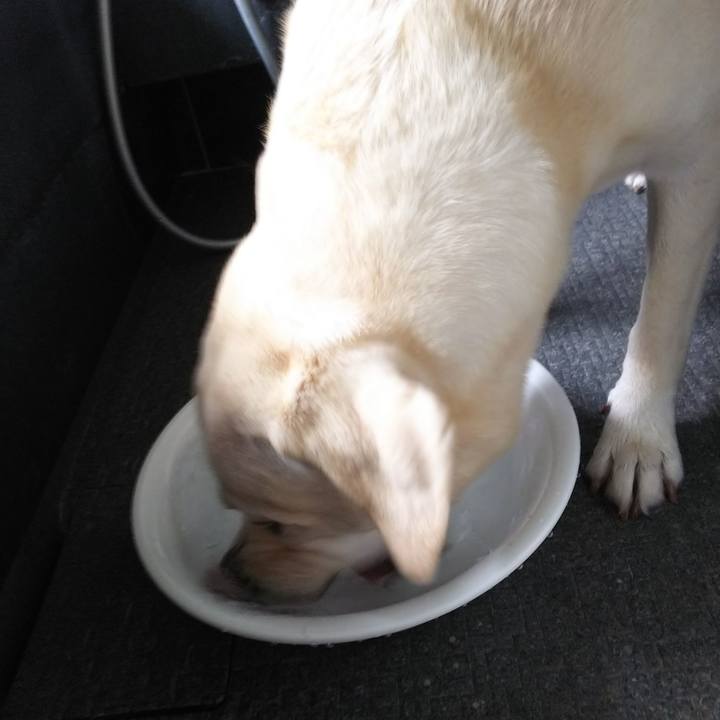 F5cbf2e9 baf2 4e11 8474 39f23fda0ecd 1566955686617