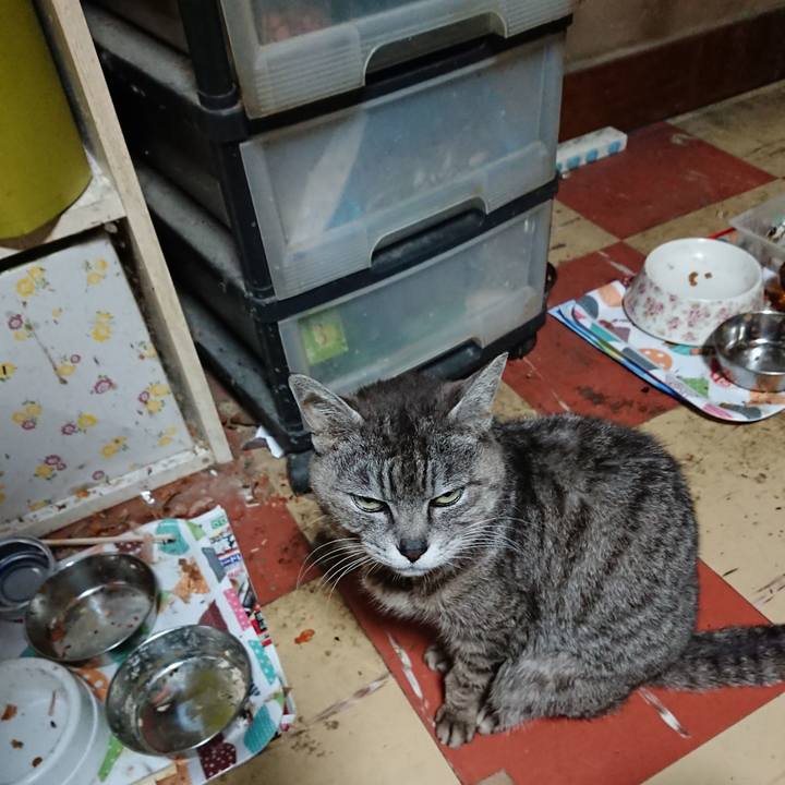 F5cc0f33 dc7b 44c9 af3c e2255e53c3e5 1590954374311