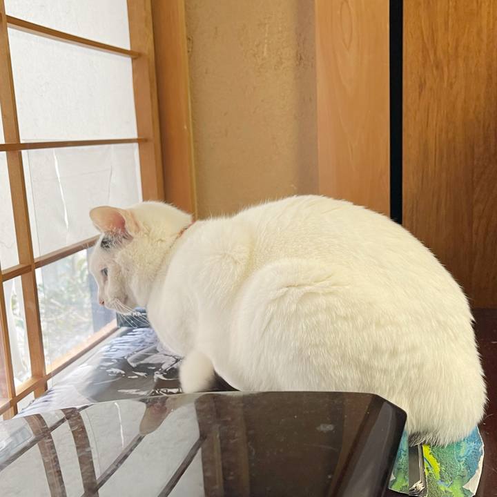 F5cc2a12 4d11 4222 b452 b1e953fa640b 1771368333627