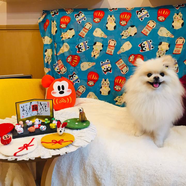 F5cc5085 4a41 481f 82c2 c16bb64802d9 1577614745339