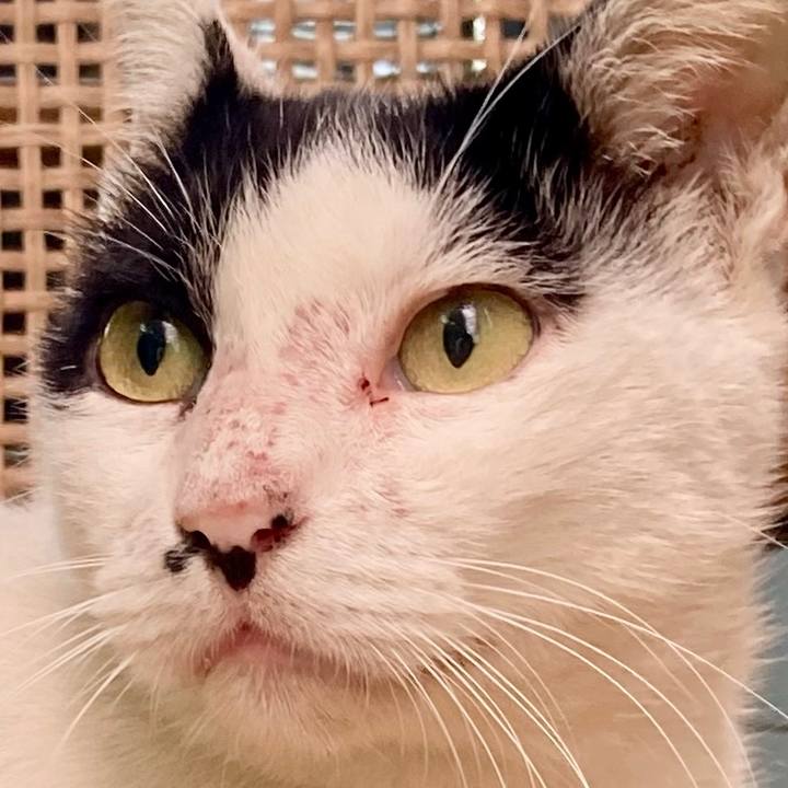 F5cc8c15 6aa8 4595 ae71 5ac475cbfedf 1757733803189