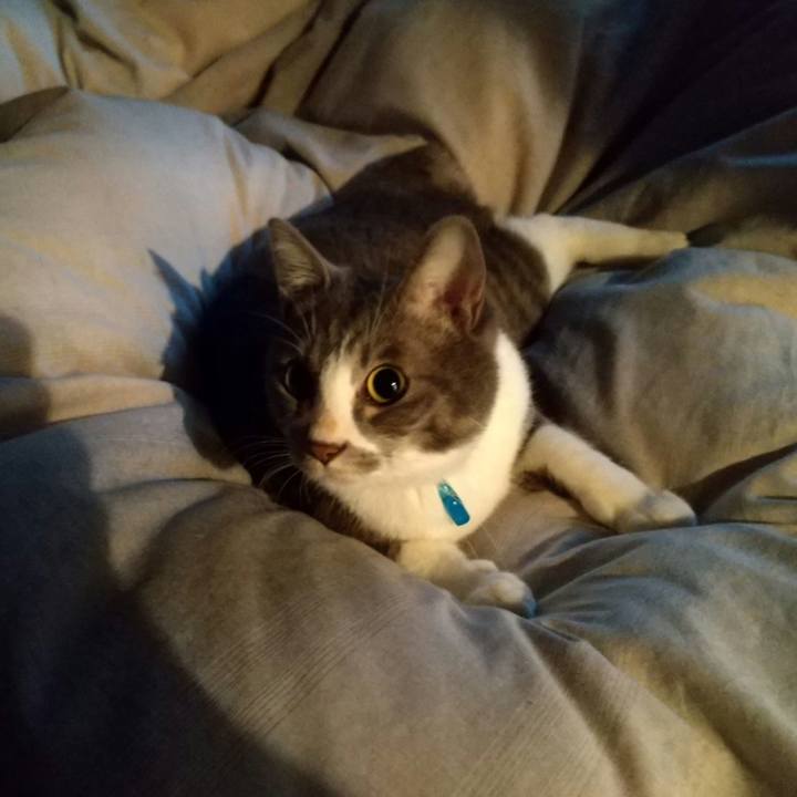 F5ccb70c 074c 4b8a 8701 6dc120fcae95 1611179139355