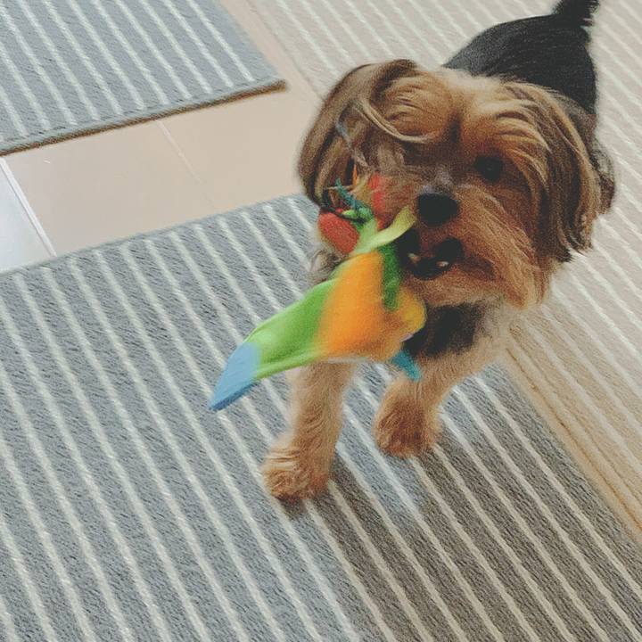 F5cd4809 fd81 48fe 8cad 8ca5089ae9da 1600761906902