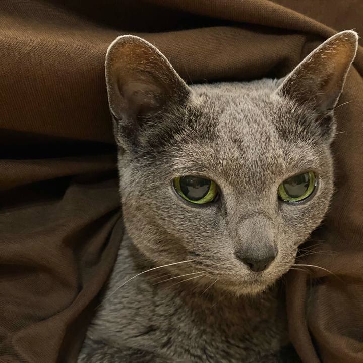 F5cd50af 361d 4ca6 aaf1 a44b7721bb1a 1613357844119