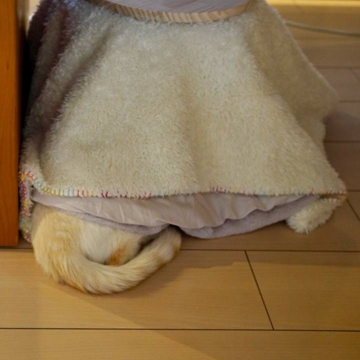 F5cd9b27 7905 49bd 89d9 5e076bd8343f 1765241849347