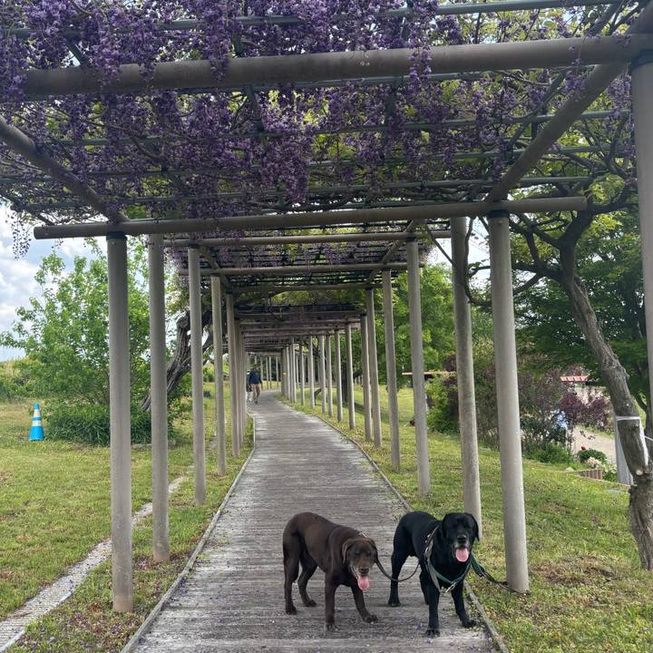 F5ce1aa7 53fb 4e3b 9b94 3376dcf3c017 1777379933908