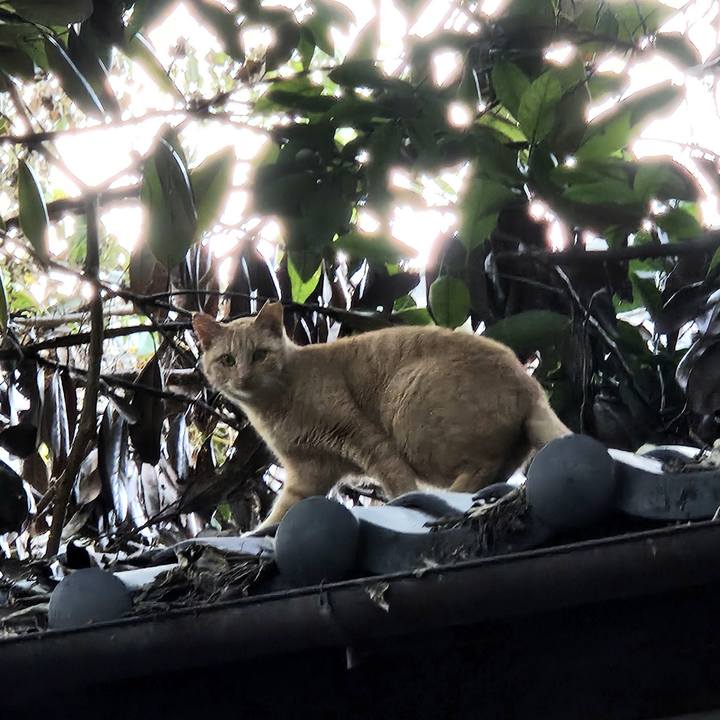 F5ce379e c6e8 4613 9230 a0c907078e23 1732762337913