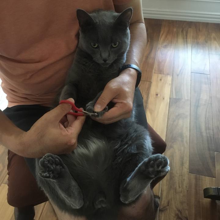 F5ce478f 1f26 4260 a070 60d2a9bf9e4d 1660693101572