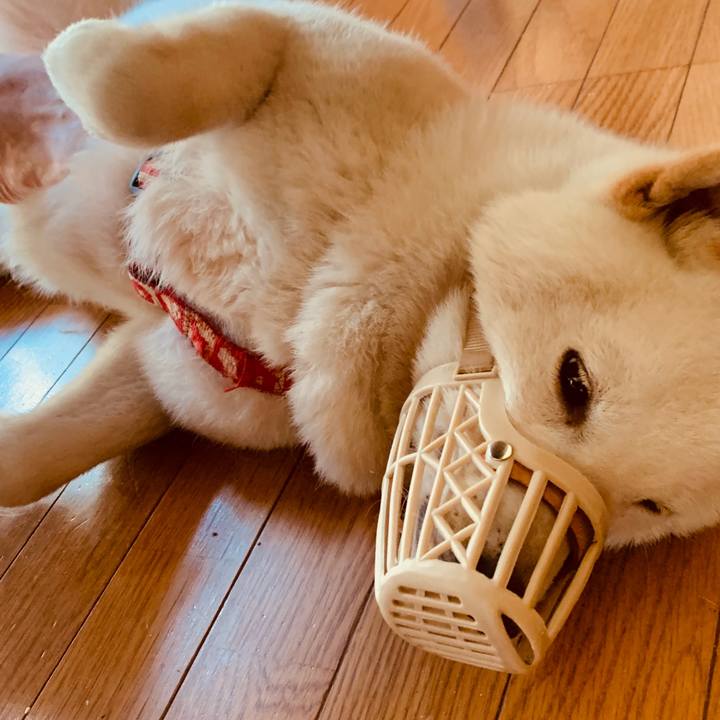 F5ce565d 3252 4f08 9a40 e55d5b91d09a 1566595997804