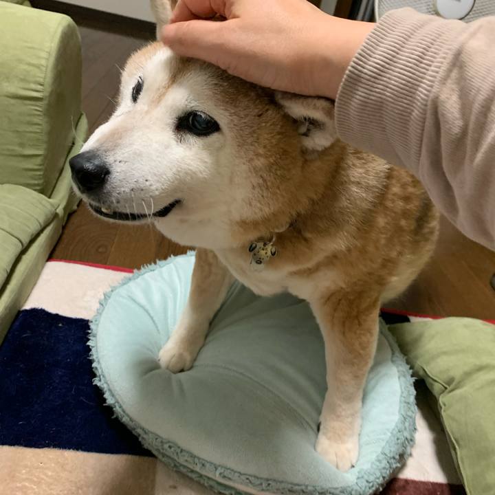 F5ce98b8 6a44 4365 87d5 f6d36f732674 1650107208325