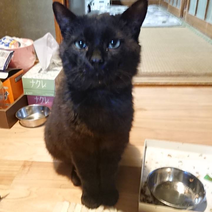 F5cee96e c712 4f44 aaf9 599b48505106 1622803995373